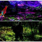 好き好きアーツ!#34 鳥飼否宇 part12 –桃源郷の惨劇&密林–