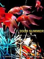 ROCKHURRAH RECORDS残暑見舞い2009