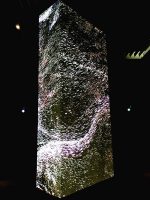 未来と芸術展 鑑賞