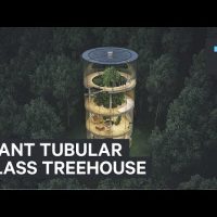 SNAKEPIPE SHOWROOM 物件10 孤立物件編