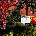 草間彌生 わが永遠の魂 鑑賞