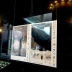 写真家ソール・ライター展 鑑賞