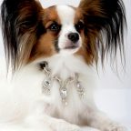 収集狂時代 第8巻 ペット用グッズ編