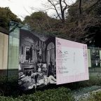 岡上淑子 沈黙の奇蹟 鑑賞