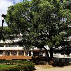 「造形遺産054-067」,「HAZY HUE」未鑑賞