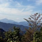 大人社会科見学—高尾山—