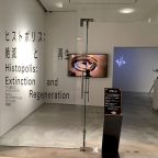 写真とファッション&ヒストポリス 絶滅と再生 鑑賞