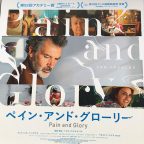 ペイン・アンド・グローリー 鑑賞
