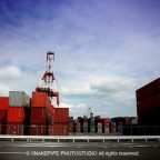 ビザール・コンテナ選手権!39回戦