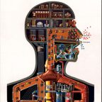 SNAKEPIPE MUSEUM #58 Fritz Kahn