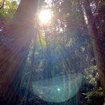 大人社会科見学—御岳山—