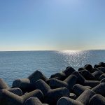 Holidays In The 散歩 若洲海浜公園