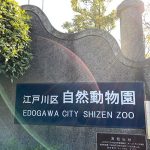 Holidays In The 散歩 江戸川区自然動物園