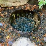 Holidays In The 散歩 明治神宮