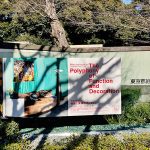 交歓するモダン 機能と装飾のポリフォニー 鑑賞