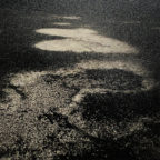 高木由利子 カオスコスモス 弐 —桜— 鑑賞