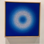 GOMA ひかりの世界 鑑賞